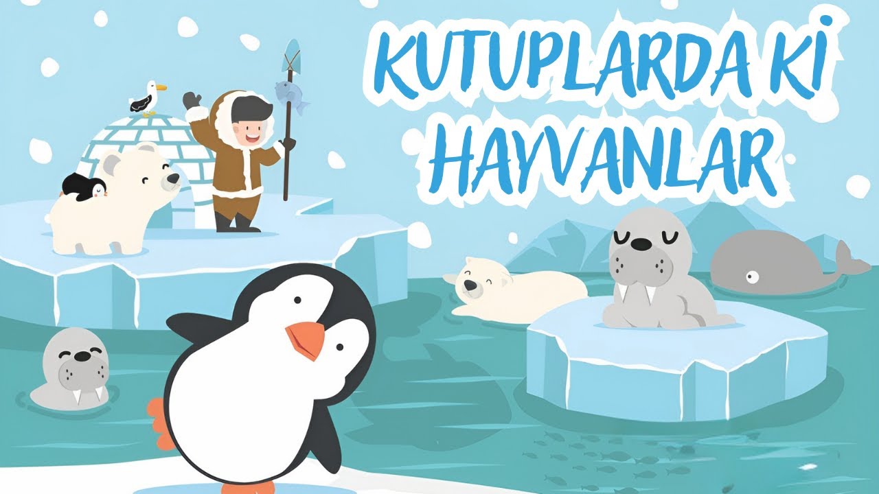 Kutup Hayvanları -  Eğlenceli ve &Ouml;ğretici &Ccedil;ocuk Şarkısı | Kutuplarda Yaşam