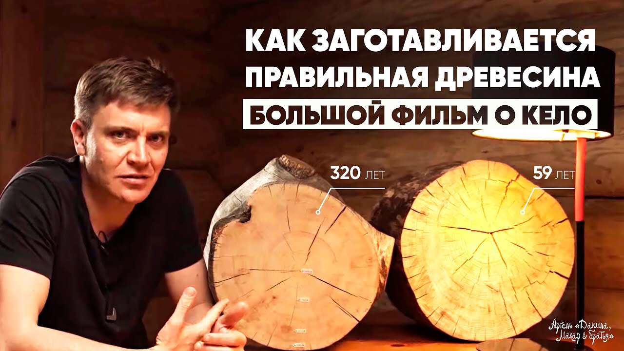 Как заготавливается ПРАВИЛЬНАЯ ДРЕВЕСИНА – Большой фильм о КЕЛО