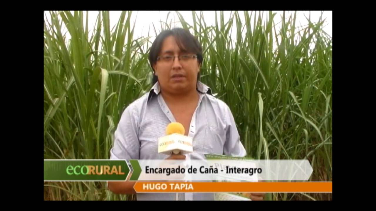 Interagro con buenos resultados con el Herbicida Plateau