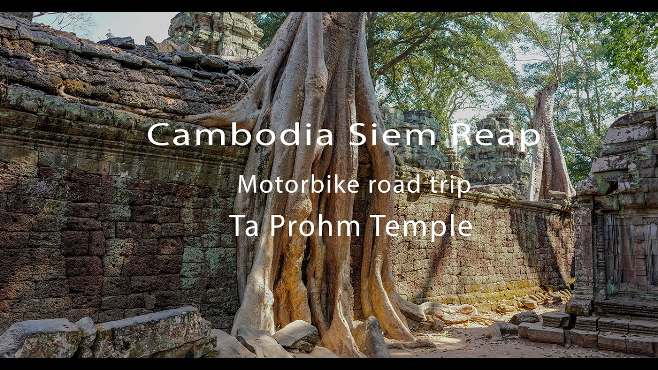 Cambodia Siem Reap - Motorbike trip to Ta Prohm Temple