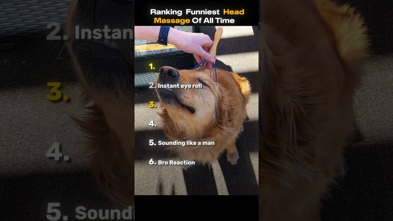 Ranking Funniest Head Massage Of All Time