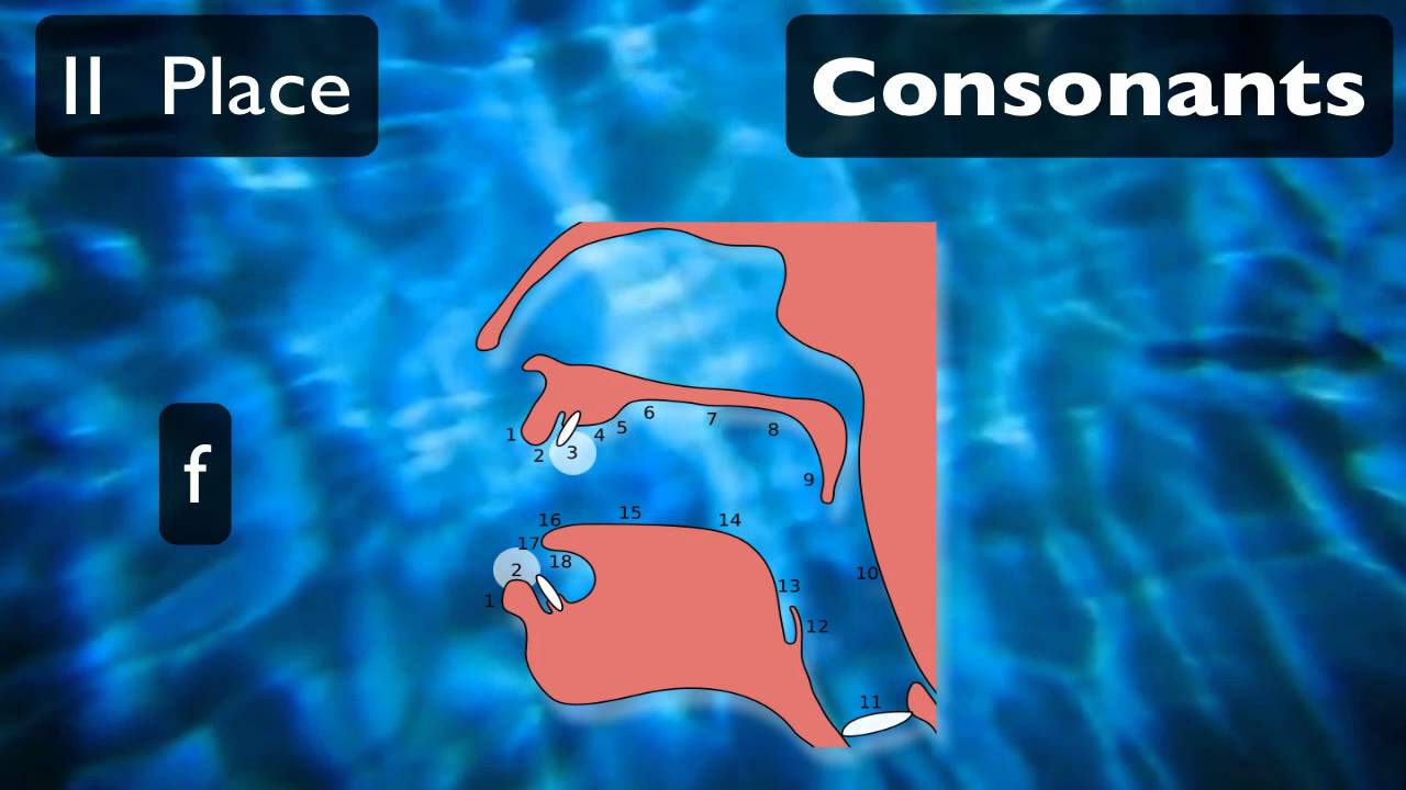 Pronunciation Tutorial 1: English Pronunciation and IPA: Voicing and Place