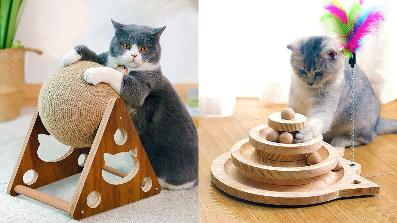 Top 5 Best Cat Toys on Amazon!