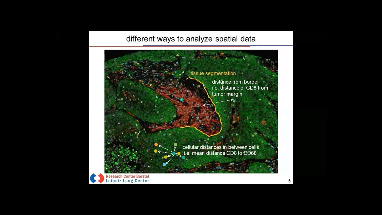 A Spatial Biology Approach For Biomarker Discovery and Validation in Immuno-Oncology