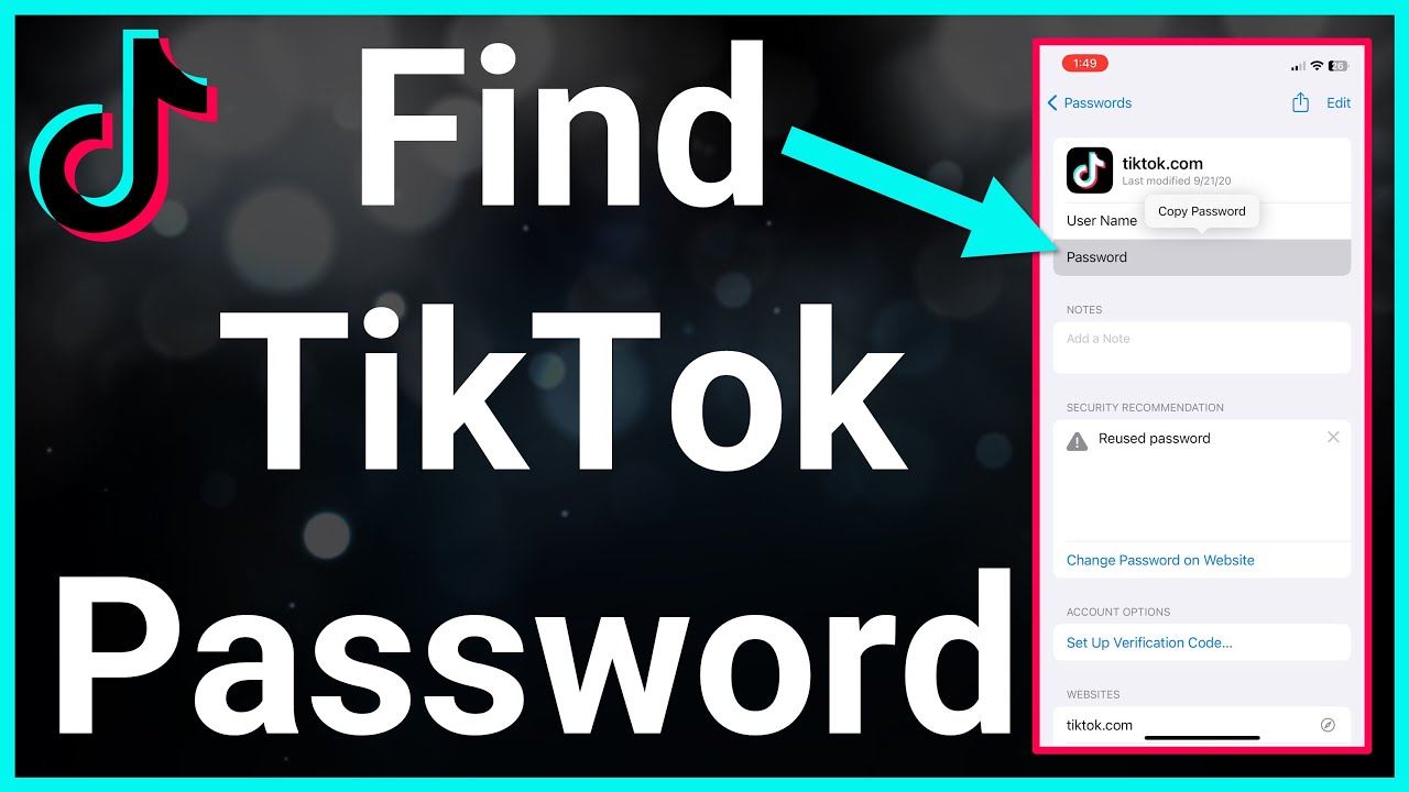 How To See Your Password On TikTok