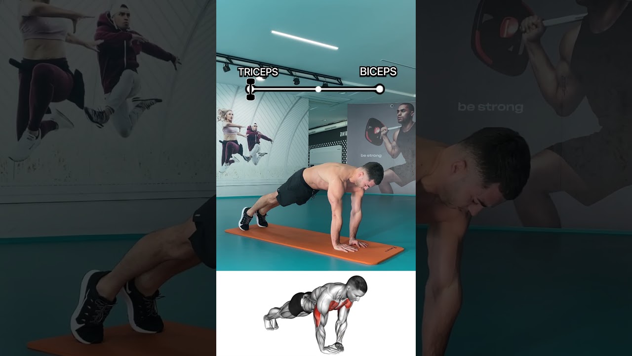 Biceps at Home Without Equipment