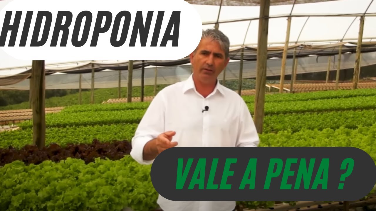 HIDROPONIA É VIÁVEL? VEJA AS DICAS DO MAGRÃO HORTALIÇAS