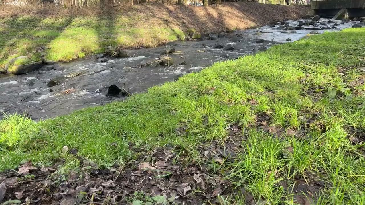 Eine Starke Strömung #deutschland #nature #subscribe #stream #water #green #whether #fishing 