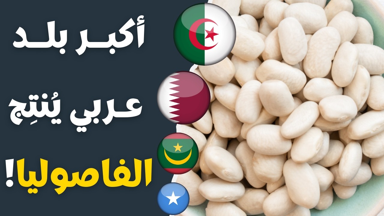 أكبر 10 بلدان عربية في إنتاج الفاصوليا البيضاء … مفاجآت في القائمة !