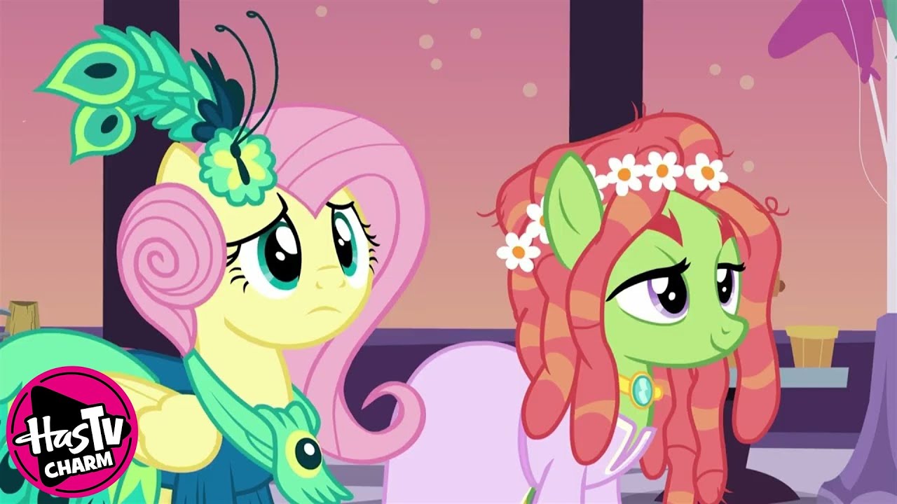 Dragonshy | My Little Pony: Friendship is Magic 🦄 Fan Favorites ✨ HasTV Charm