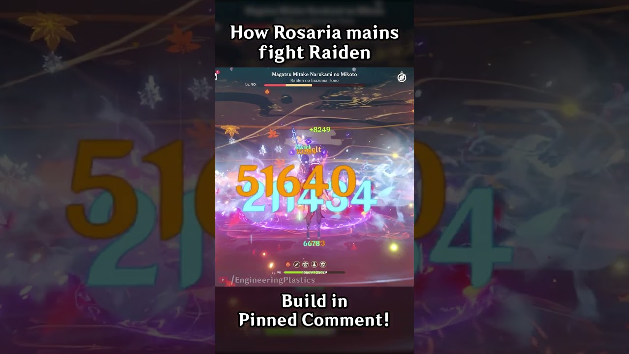 HOW ROSARIA MAINS FIGHT RAIDEN