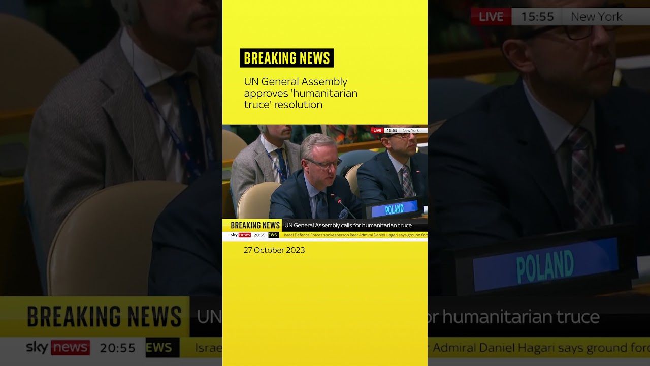 UN General Assembly approves 'humanitarian truce' resolution