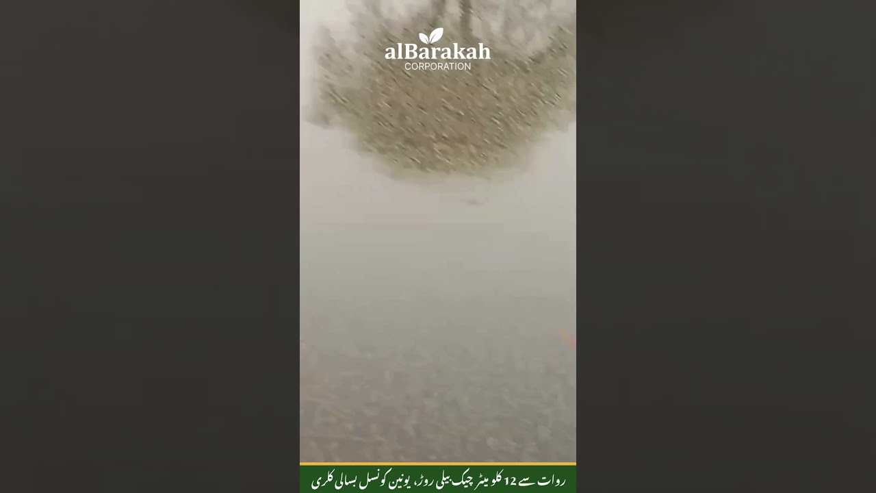 Fish feeding Time at Al Barakah Farm | Tilapia & Rohu Feeding Routine in Pakistan