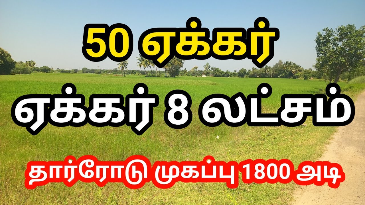 50 Acre Agri Sale | 8 Lakhs | Low budget Land | Urgent Sale #trending #agriculture #realestate#actor