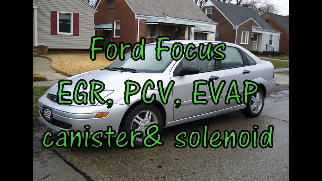 Ford Focus emissions: PCV valve, EGR valve, EVAP canister, & vent solenoid