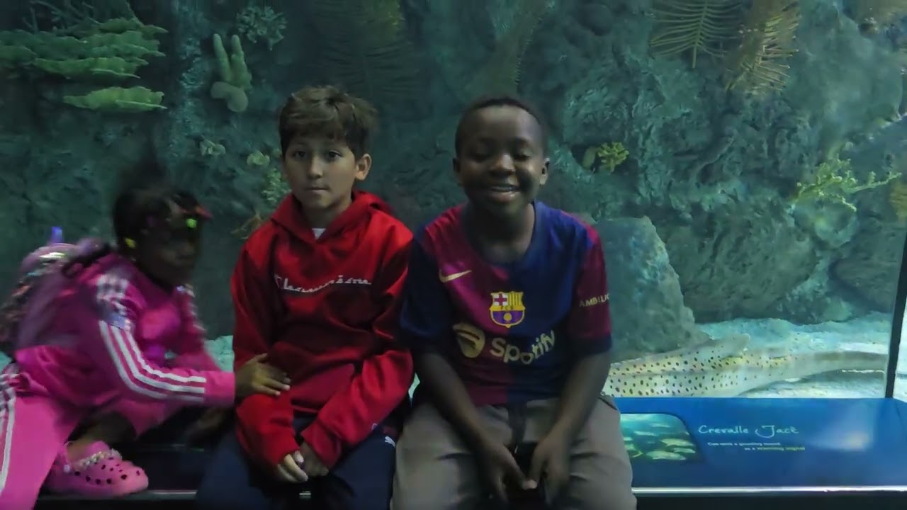 Visit to OMAHA Zoo in USA Part1