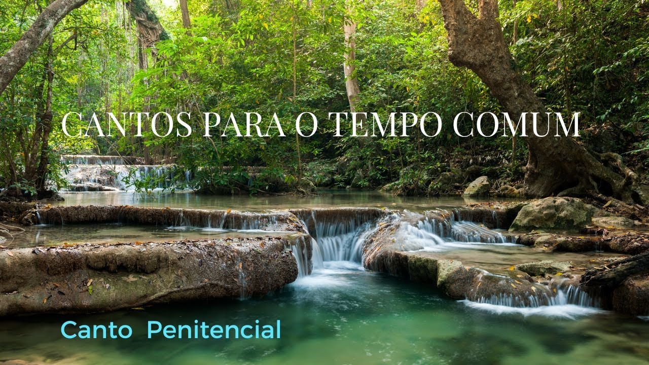SENHOR QUE VIESTE PARA PERDOAR