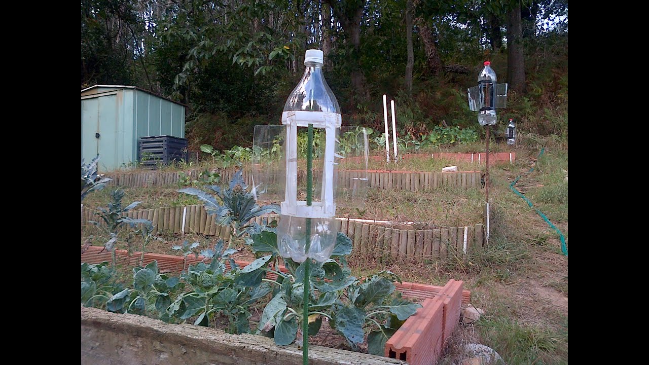 Botella espantapajaros