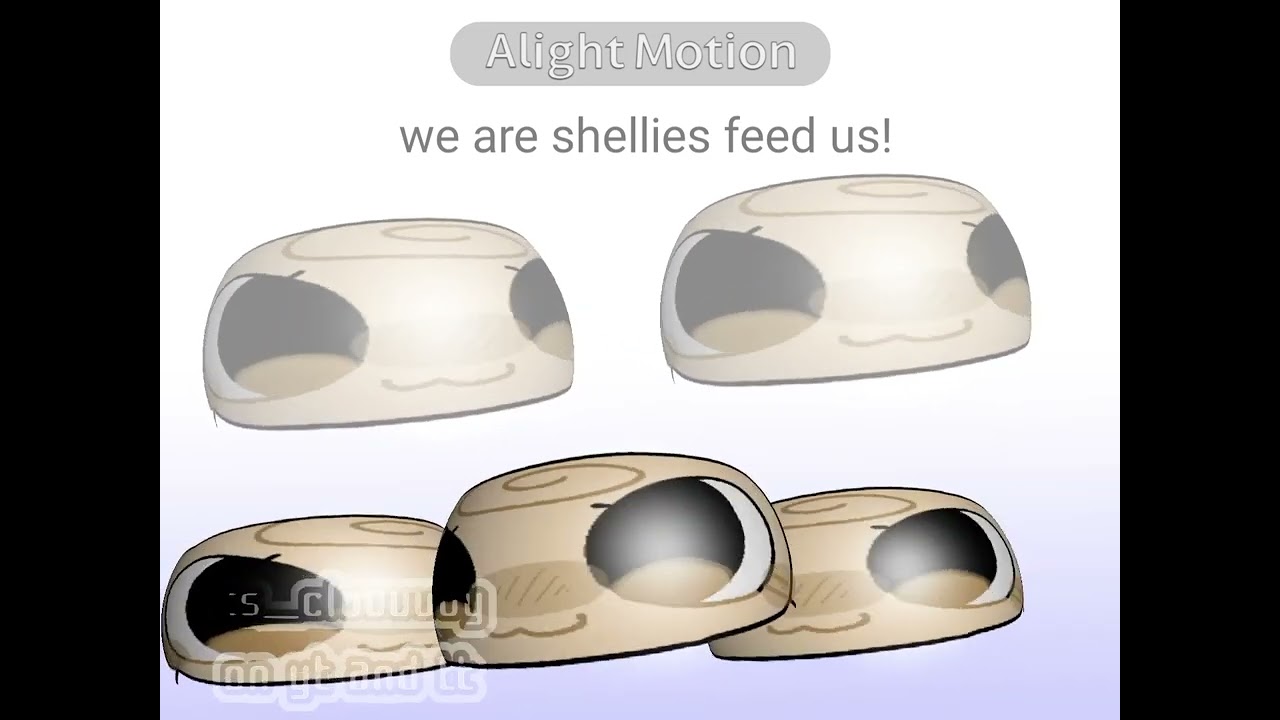 SHELLIES ASSEMBLE(READ DES) 