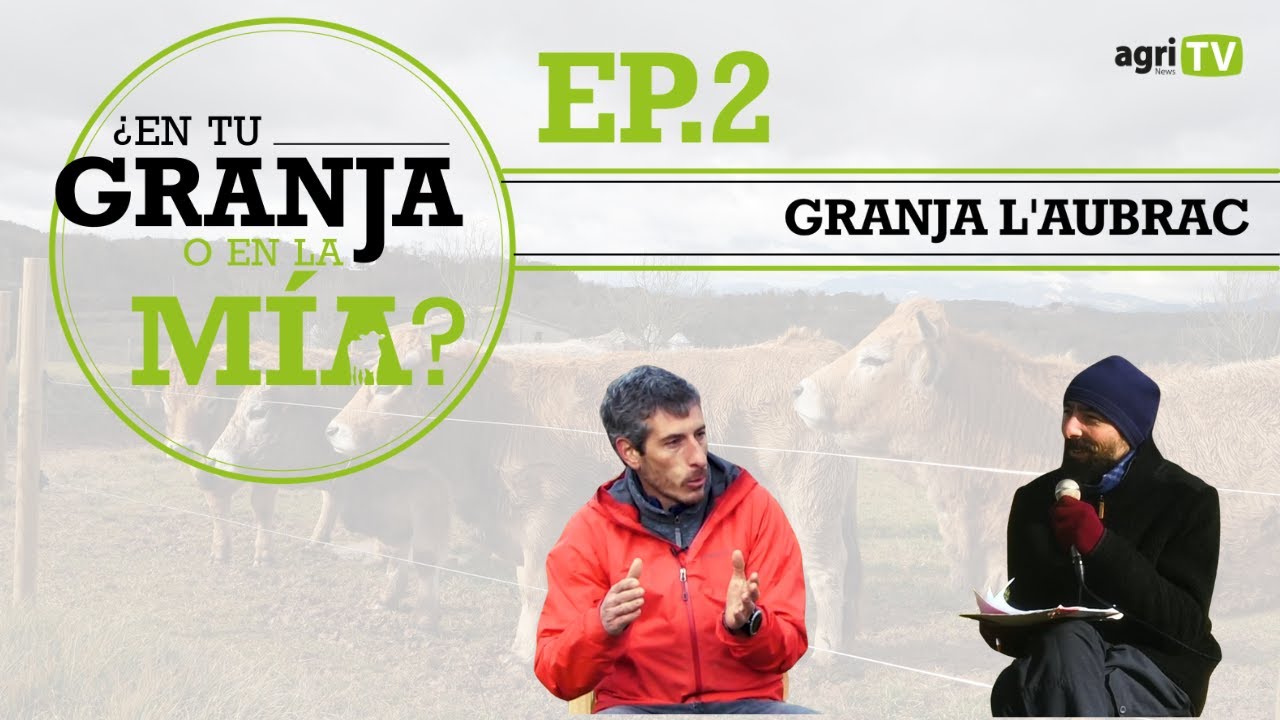Descubriendo la GRANJA l’Aubrac | 🐄¿En tu granja o en la mía?🐄