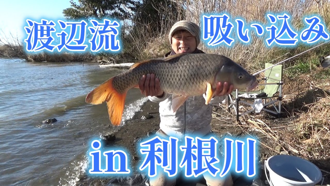 渡辺武の一緒に♥鯉釣りしませんか？～渡辺流吸い込みin利根川の巻き～