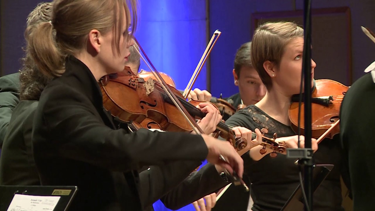 Anton&iacute;n Dvoř&aacute;k: Serenade for strings, 1. Moderato