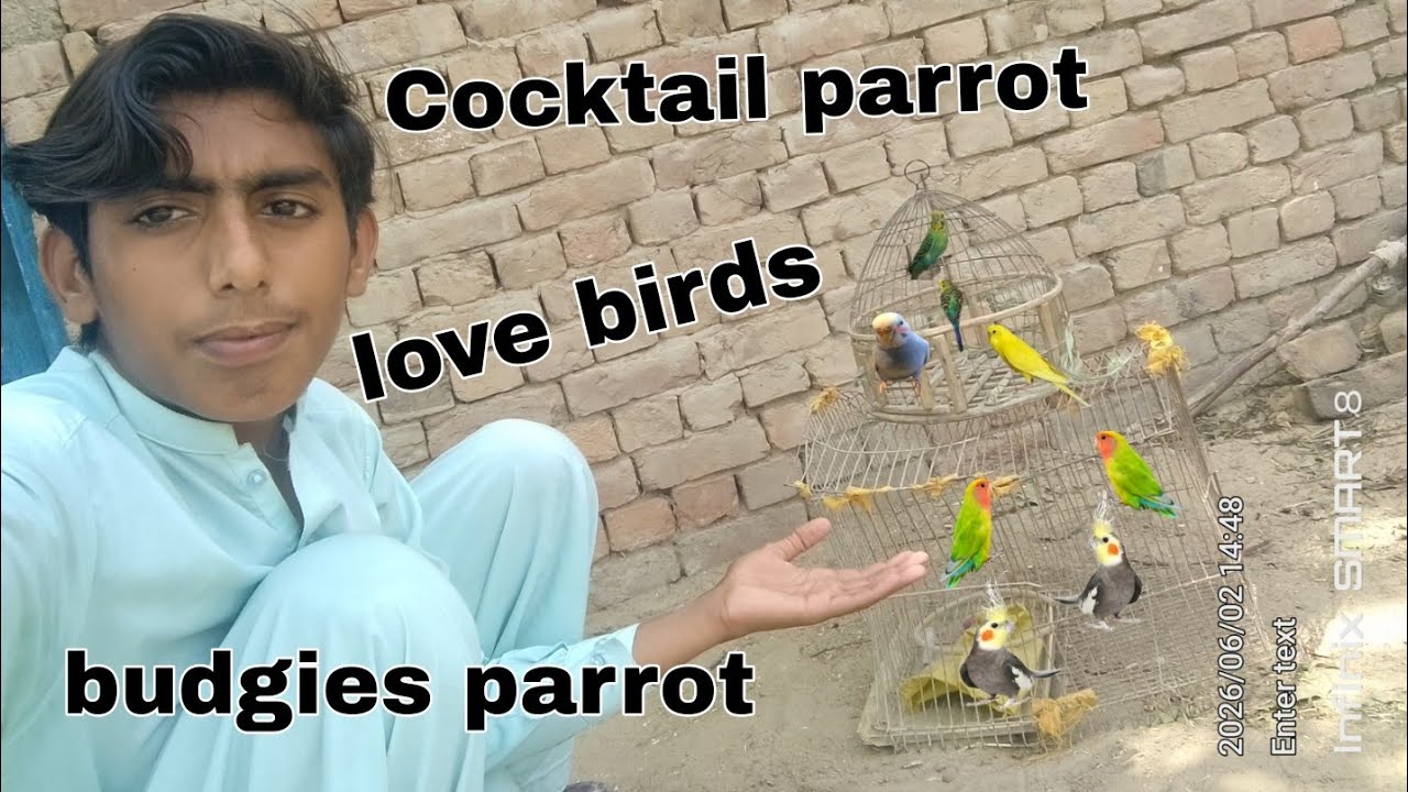 Mini zoo Badal Raha hai Animals Bahut khush   Hain😍