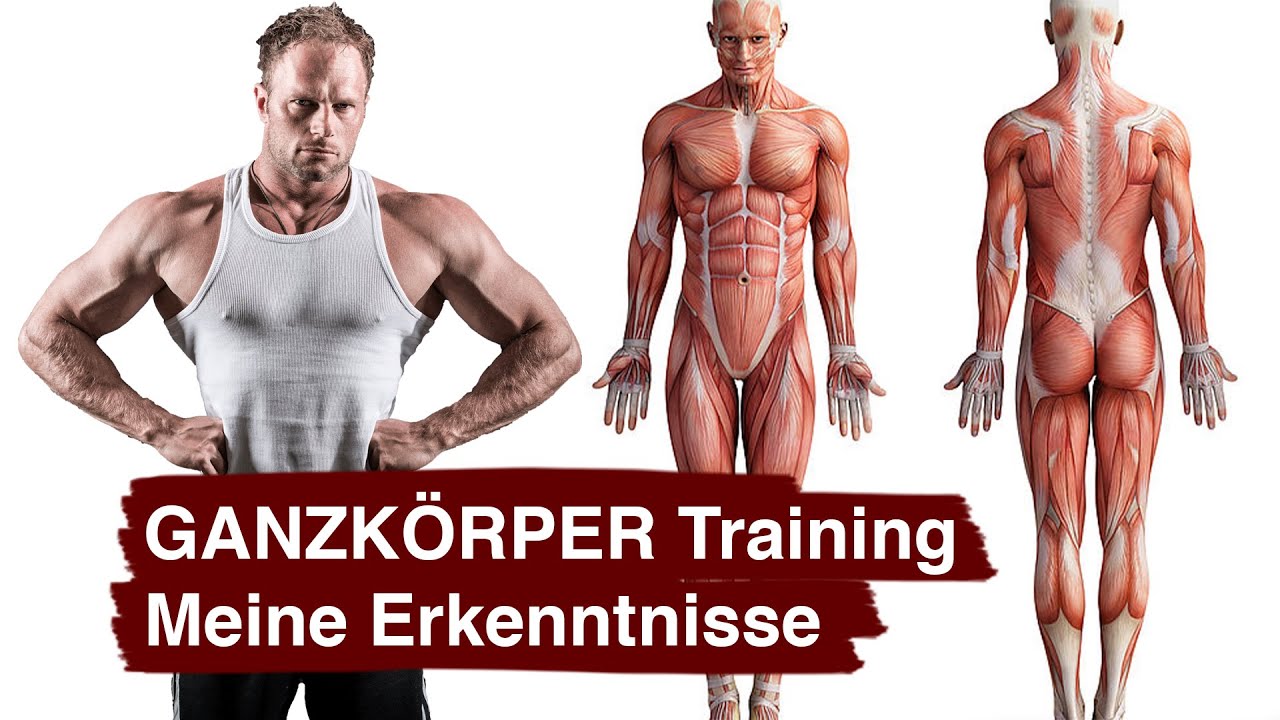 GANZKÖRPER Training als FORTGESCHRITTENER? | Ideal für Muskelaufbau? | Meine Erkenntnisse