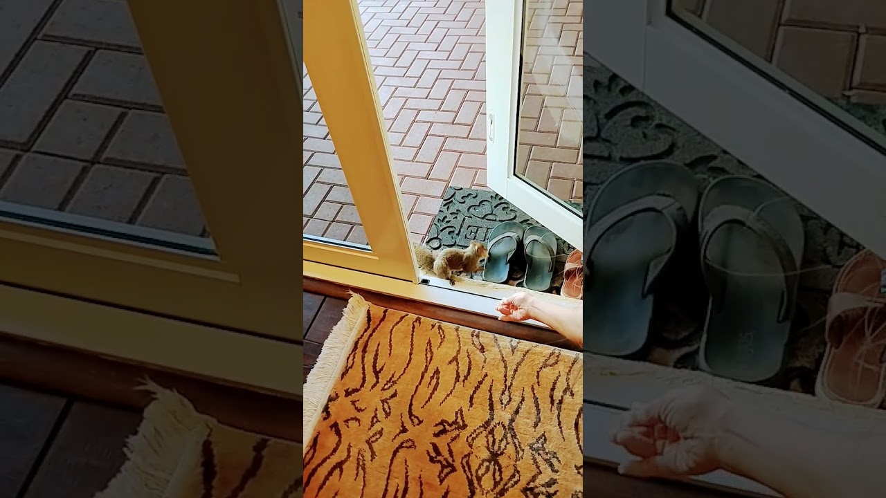 Теперь Лилу ведёт себя странно. 