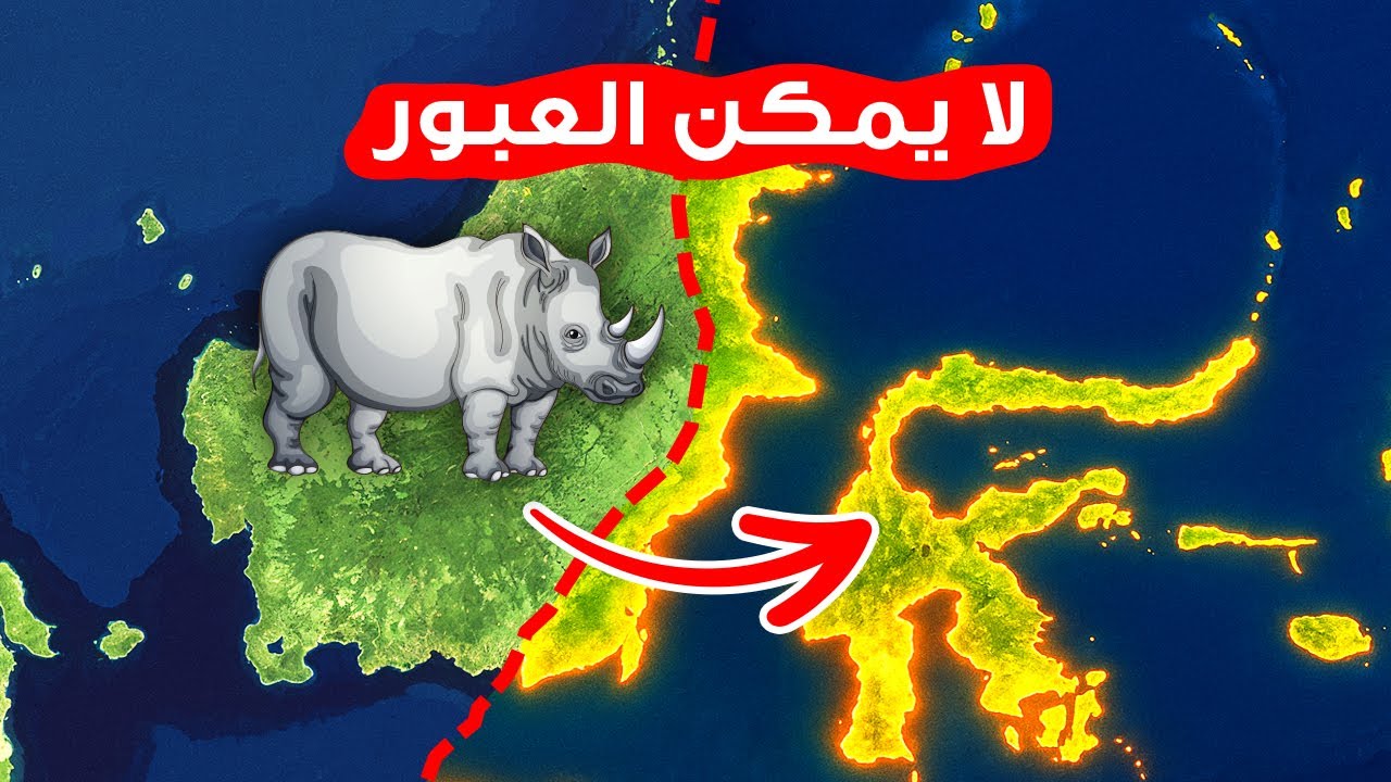 هذا الخط غير المرئي يوقف الحيوانات - إليك السبب
