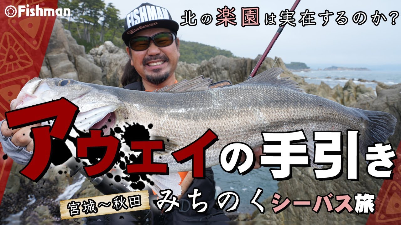 【シーバス検証】北の楽園は実在するのか？アウェイの手引き「みちのくシーバス旅」