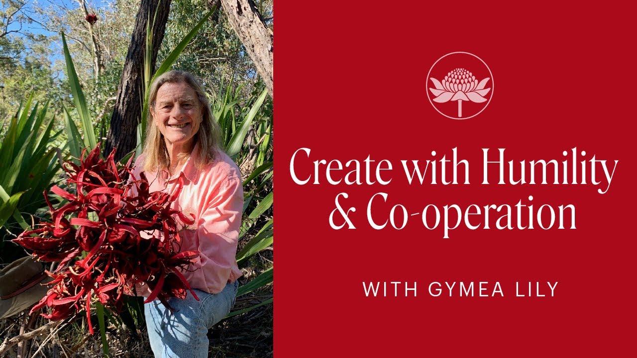 Create with Co-operation & Humility | Gymea Lily