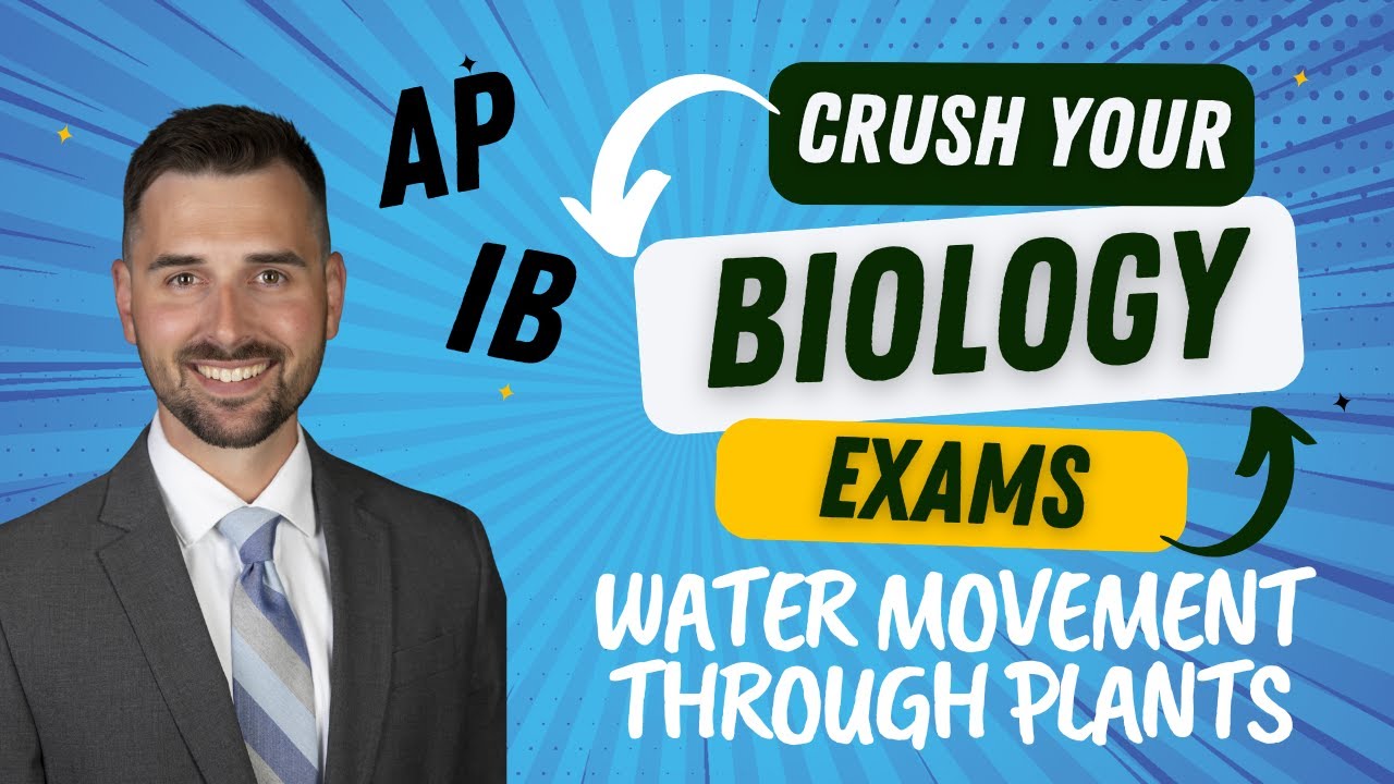 Water Movement Through Plants