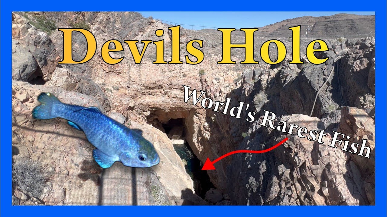 Devils Hole: Nevada's Window to the Aquifer