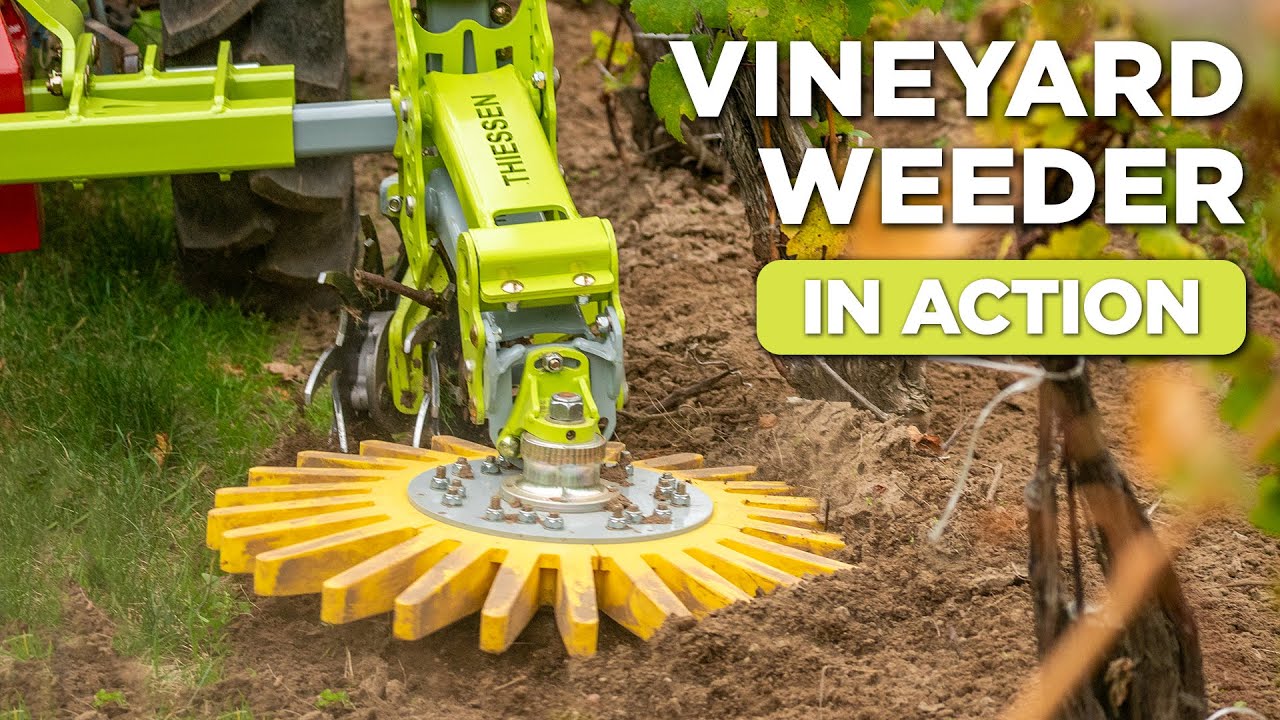 "Night & Day Difference" Better Vineyard Management With The Adaptive Cultivator