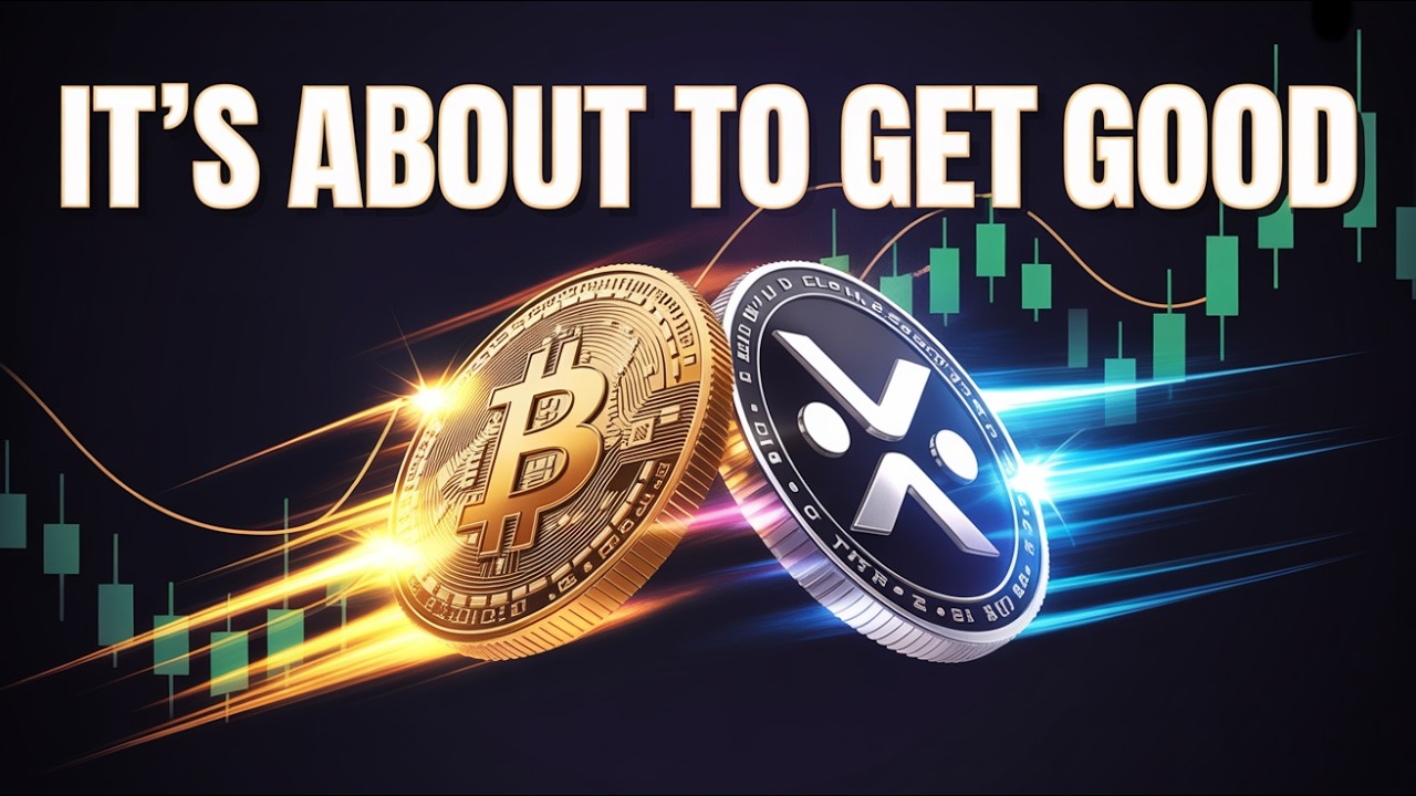 Появился НОВЫЙ сигнал к покупке Bitcoin: вышел ВАЖНЫЙ отчет МВФ с упоминанием использования XRP