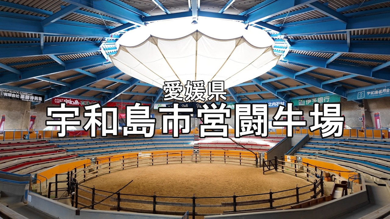 宇和島市営闘牛場 / 愛媛県宇和島の観光スポット