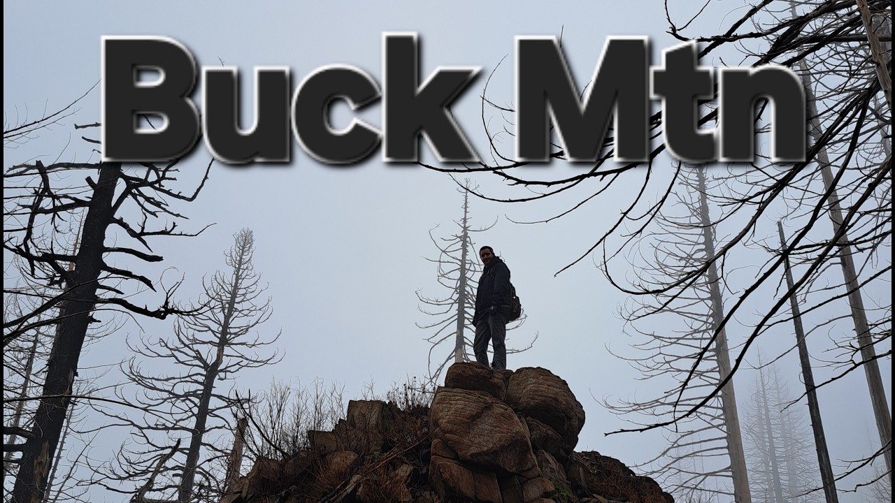 Buck Mtn - Santiam State Forest - 8 Mar 2026