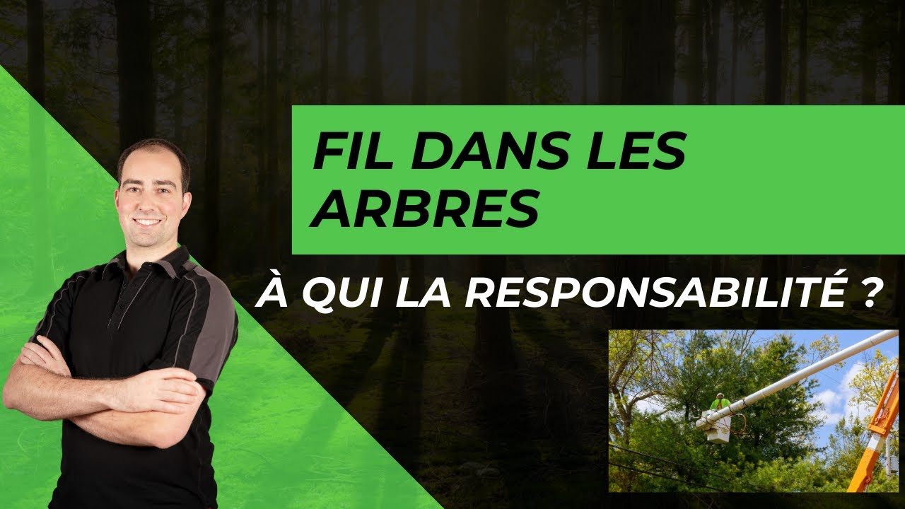 Arbre et fil électrique qui est responsable de l'entretien