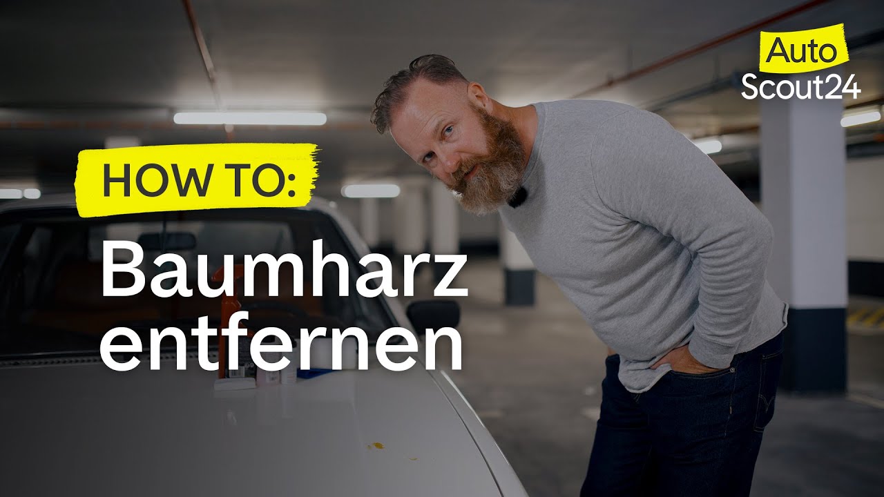 AutoScout24 Ratgeber: Baumharz entfernen