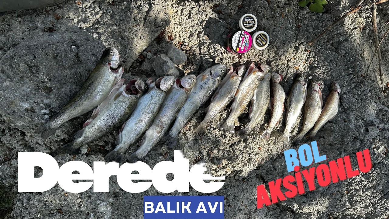 Derede ALABALIK AVI | Beklemediğim Anda Vurdu!