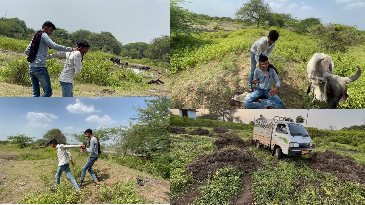 આજે તો ભેંસુ માં બીજા ગોવાળો ની મજાક કરી 😂.  કેવલ ભાઈ ગરમ થય ગયા 😄😂😂😁