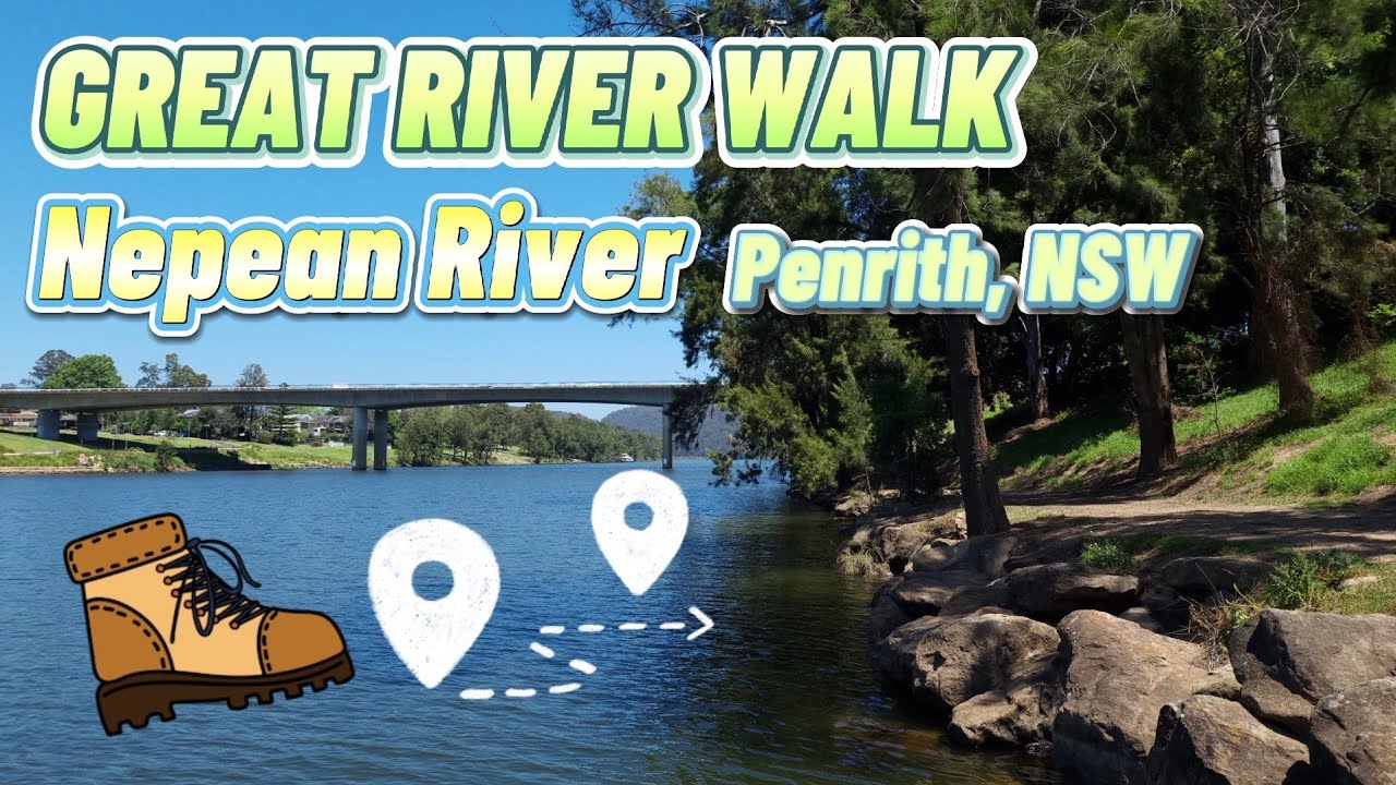 GREAT RIVER WALK | NEPEAN RIVER | PENRITH, NSW | +5 HUGE LIZARD SIGHTINGS!