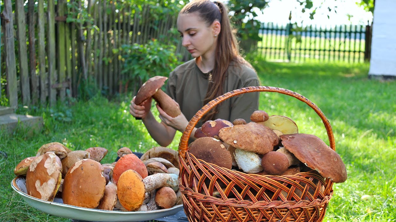Picking and cooking Porcini mushrooms, INCREDIBLY TASTY. Life in the village