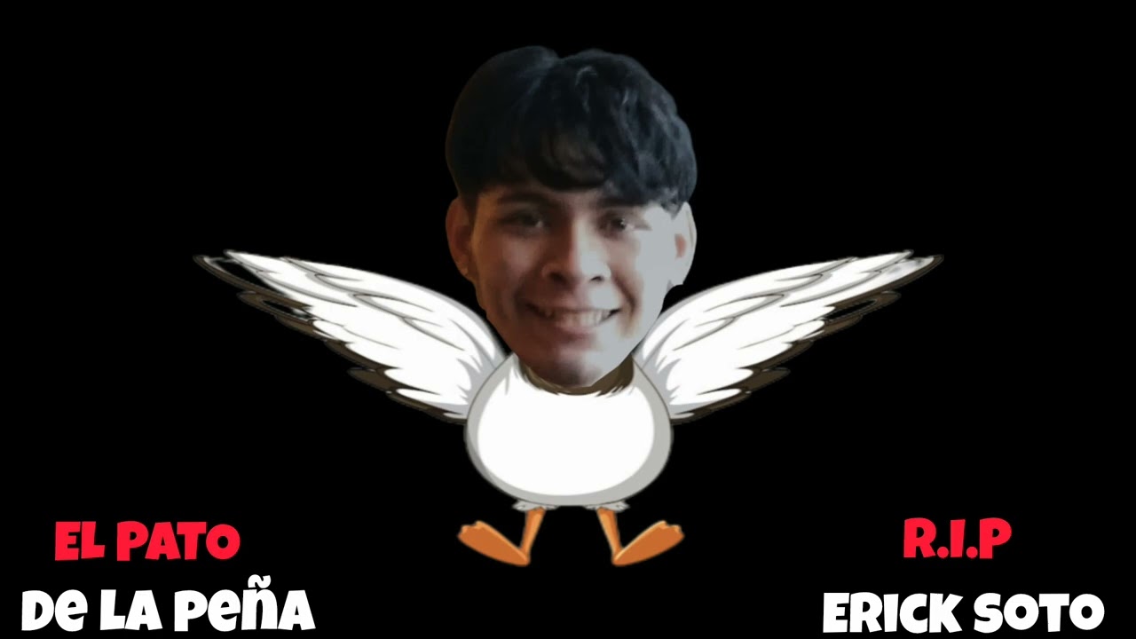 Mussett CLD - El Pato De La Peña (R.I.P 🪦 ERICK SOTO)