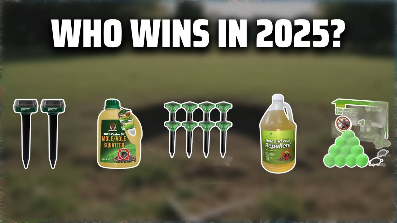 The Top 5 Best Mole Control in 2025 - Must Watch Before Buying!
