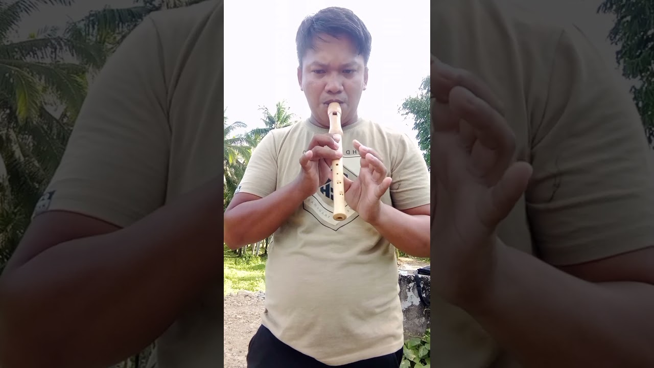 made in wood flute recorder vs plastic flute recorder.play Ikaw at Ako