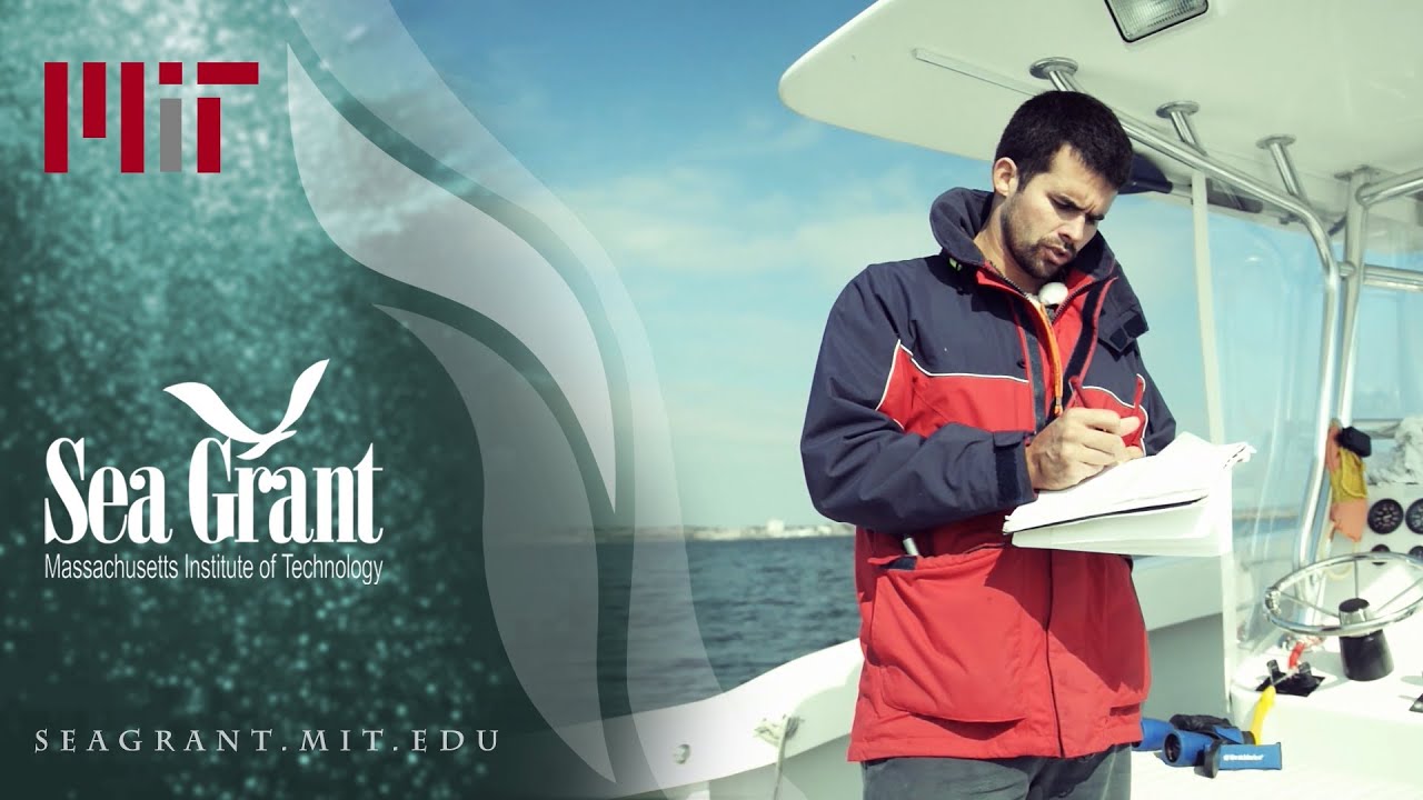 A day in the life of a marine scientist