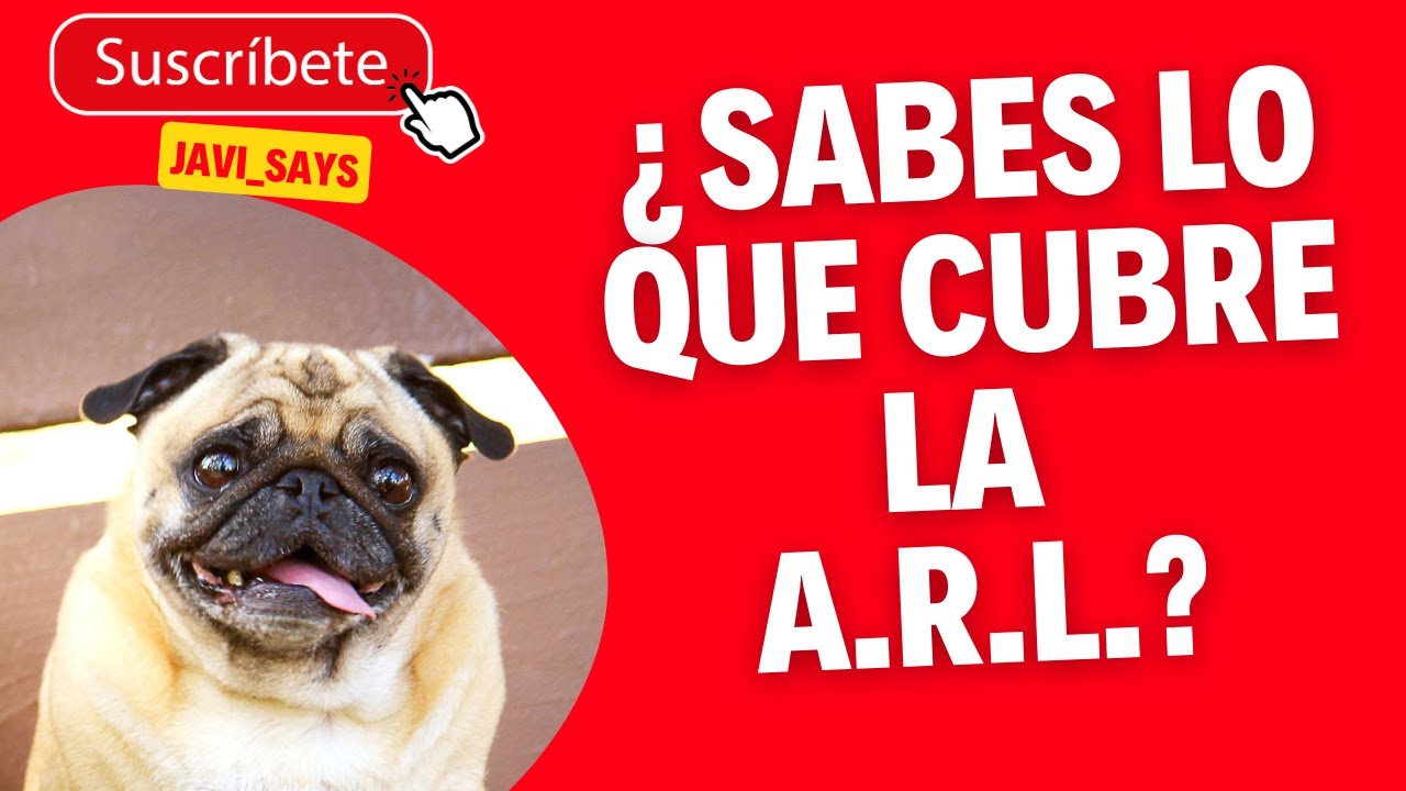 ¿Que es una ARL Administradora de Riesgos Laborales? y ¿qué cubre en Colombia?