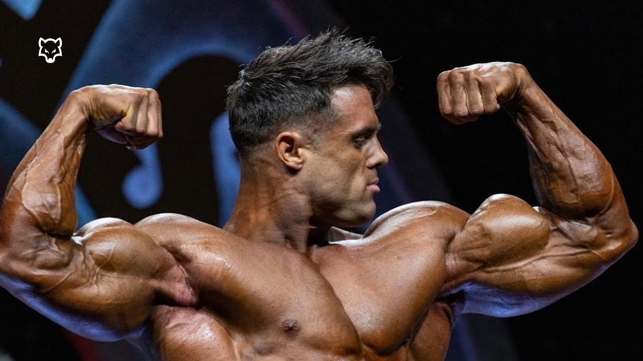 BAD WOLF 🐺 - Logan Franklin